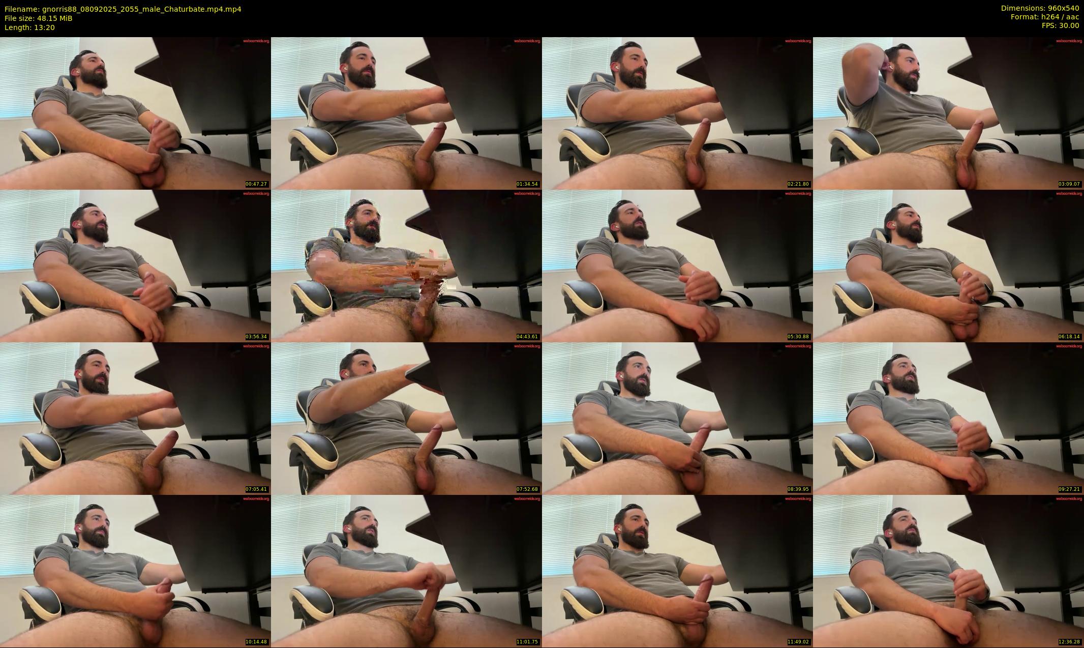 gnorris88 — 14 minute Chaturbate male cam show recording, 480p, Sep 8, 2025