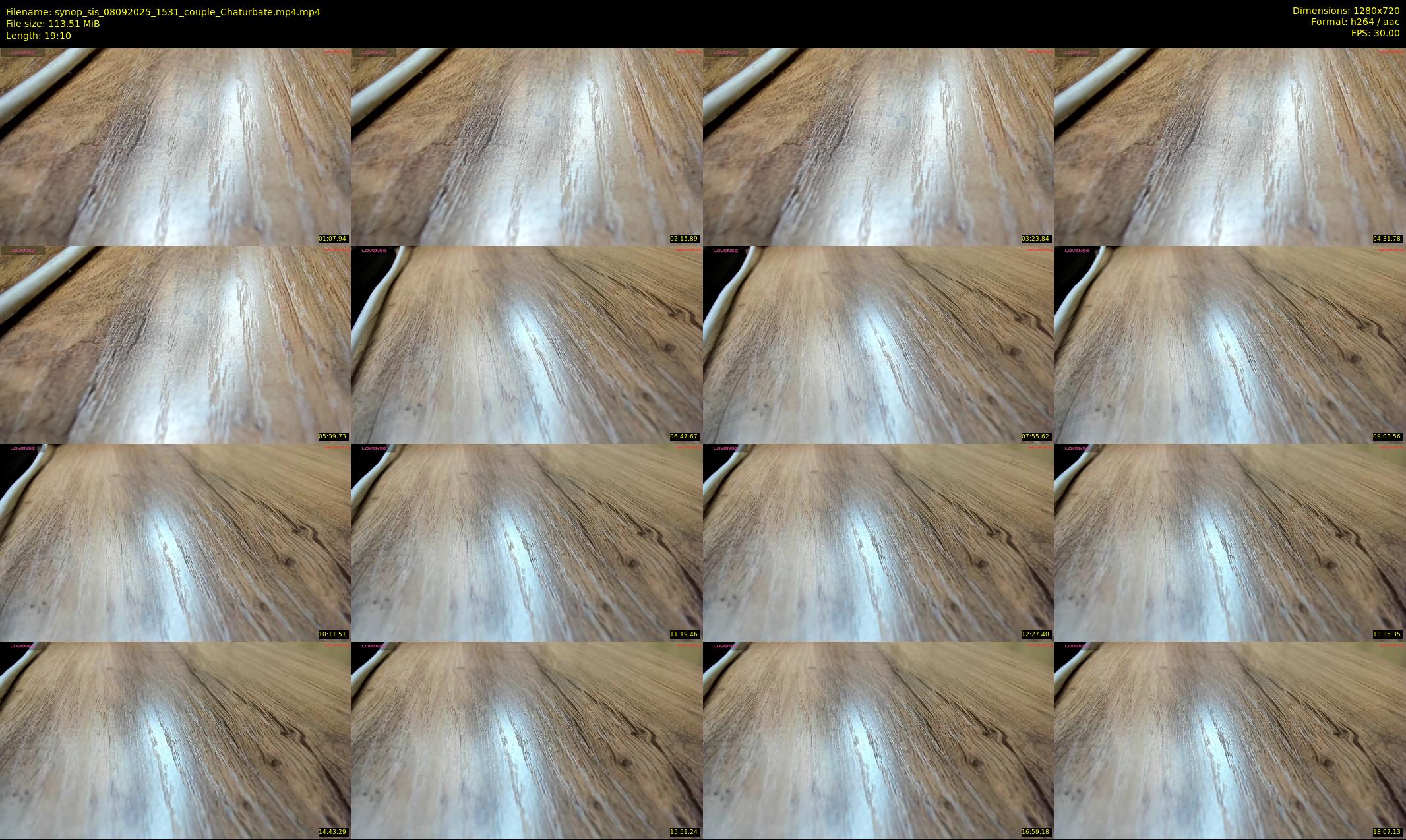 synop_sis — 20 minute Chaturbate couple cam show recording, 720p, Sep 8, 2025