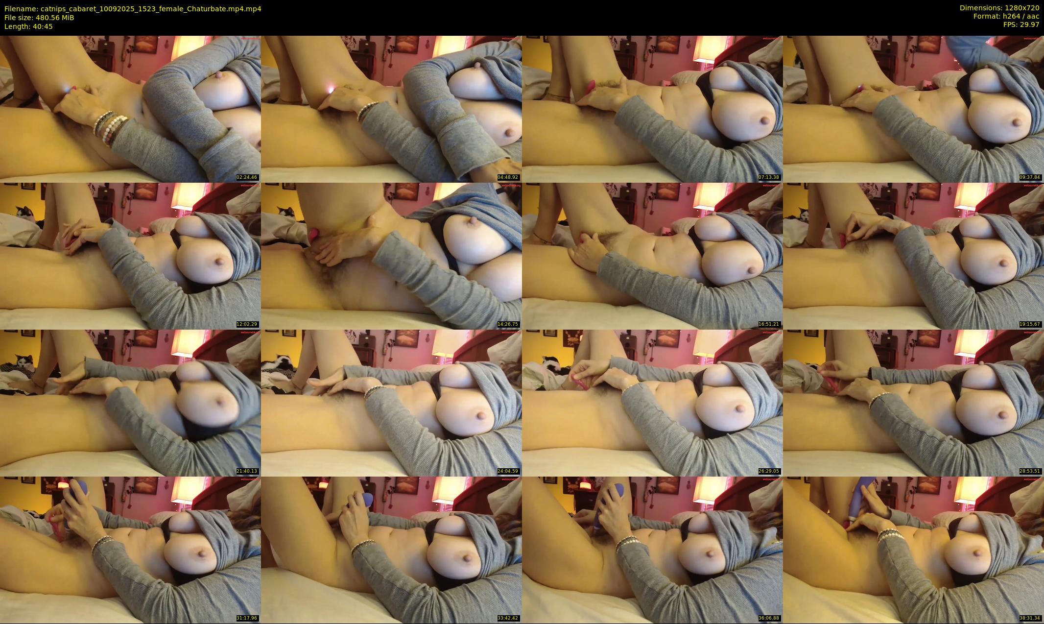 catnips_cabaret — 41 minute Chaturbate female cam show recording, 720p, Sep 10, 2025
