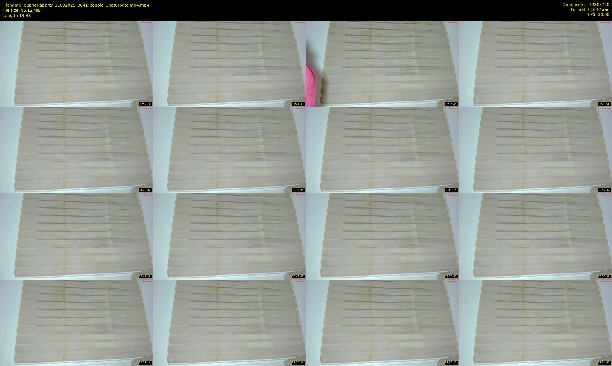 euphoriaparty — 15 minute Chaturbate couple cam show recording, 720p, Sep 11, 2025