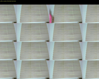 euphoriaparty — 15 minute Chaturbate couple cam show recording, 720p, Sep 11, 2025