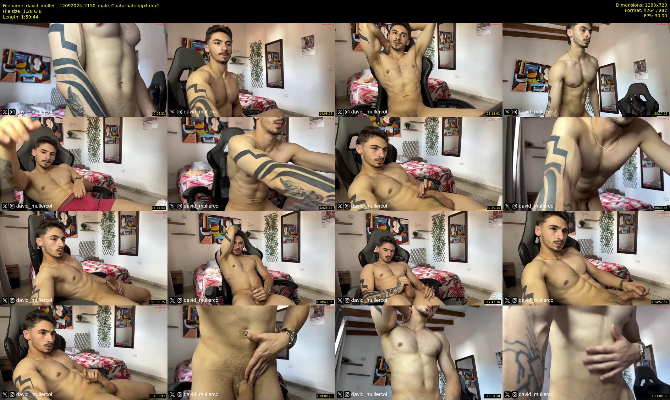 david_muller_ — 120 minute Chaturbate male cam show recording, 720p, Sep 12, 2025