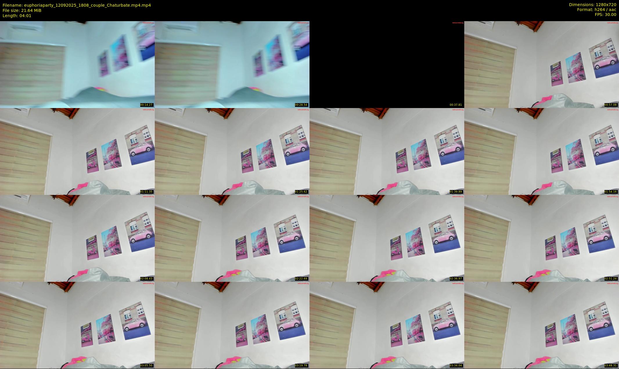 euphoriaparty — 5 minute Chaturbate couple cam show recording, 720p, Sep 12, 2025