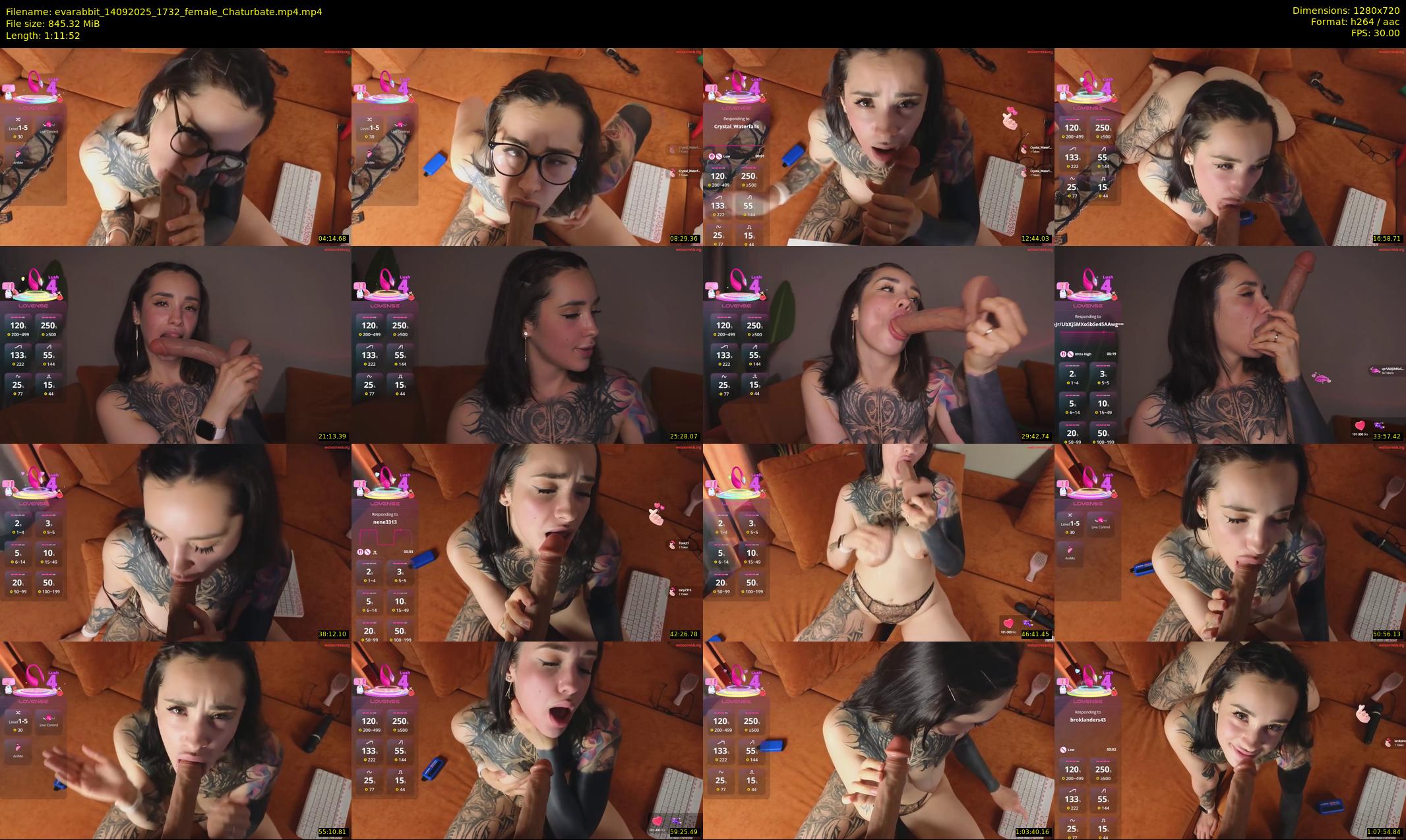 evarabbit — 72 minute Chaturbate female cam show recording, 720p, Sep 14, 2025