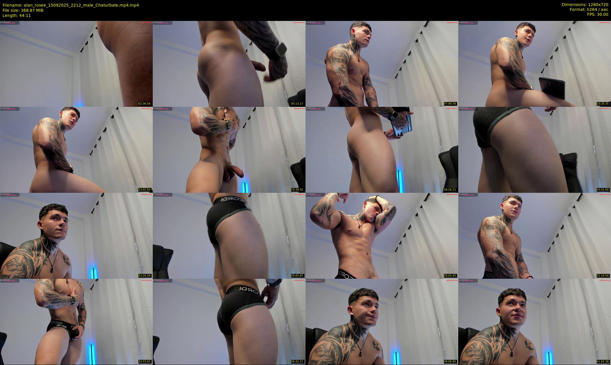 alan_rosee — 45 minute Chaturbate male cam show recording, 720p, Sep 15, 2025