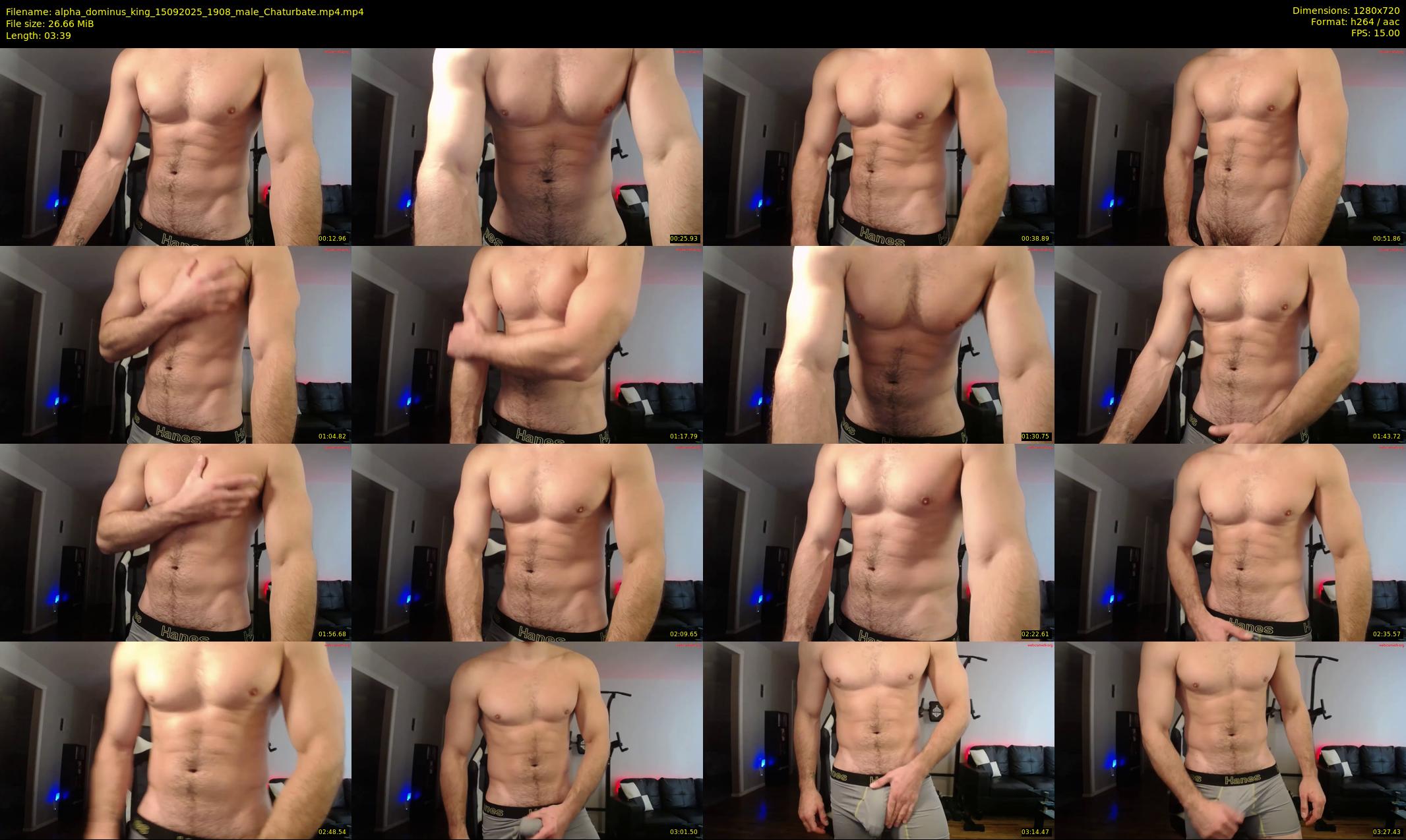 alpha_dominus_king — 4 minute Chaturbate male cam show recording, 720p, Sep 15, 2025