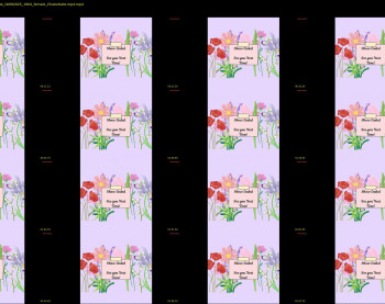 constantcumquest — 4 minute Chaturbate female cam show recording, 720p, Sep 16, 2025