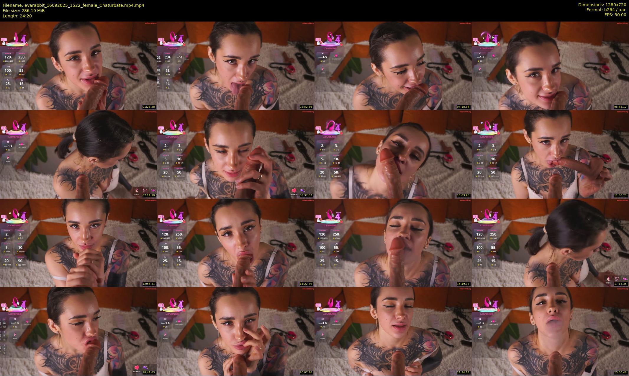 evarabbit — 25 minute Chaturbate female cam show recording, 720p, Sep 16, 2025