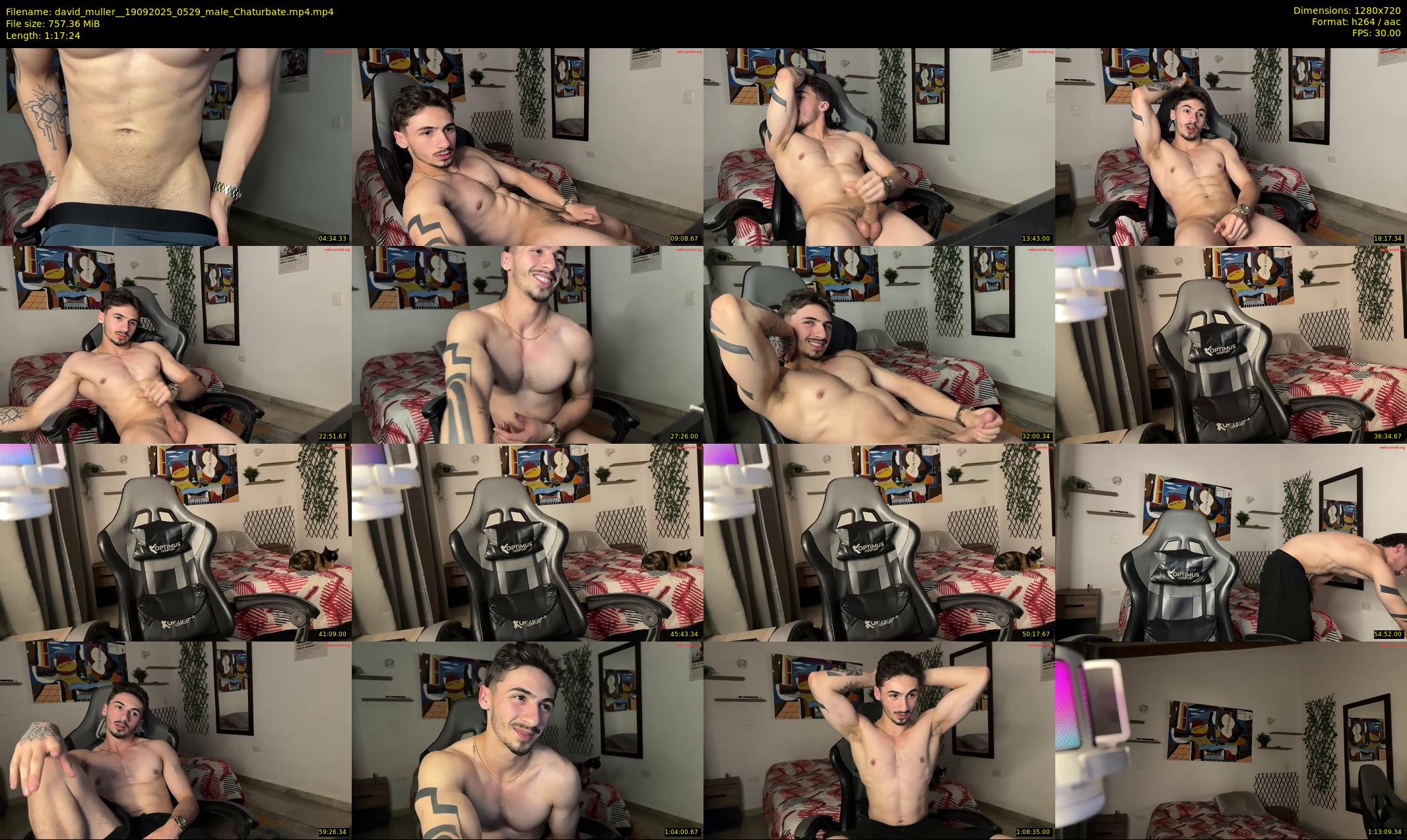 david_muller_ — 78 minute Chaturbate male cam show recording, 720p, Sep 19, 2025