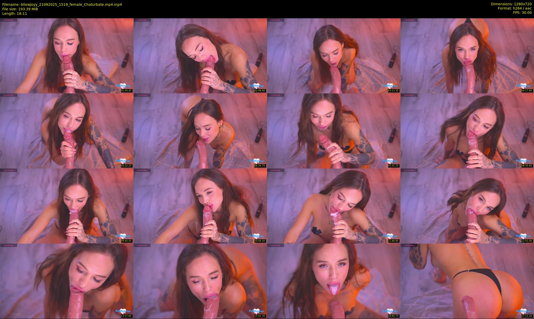 bllowjoyy — 19 minute Chaturbate female cam show recording, 720p, Sep 21, 2025
