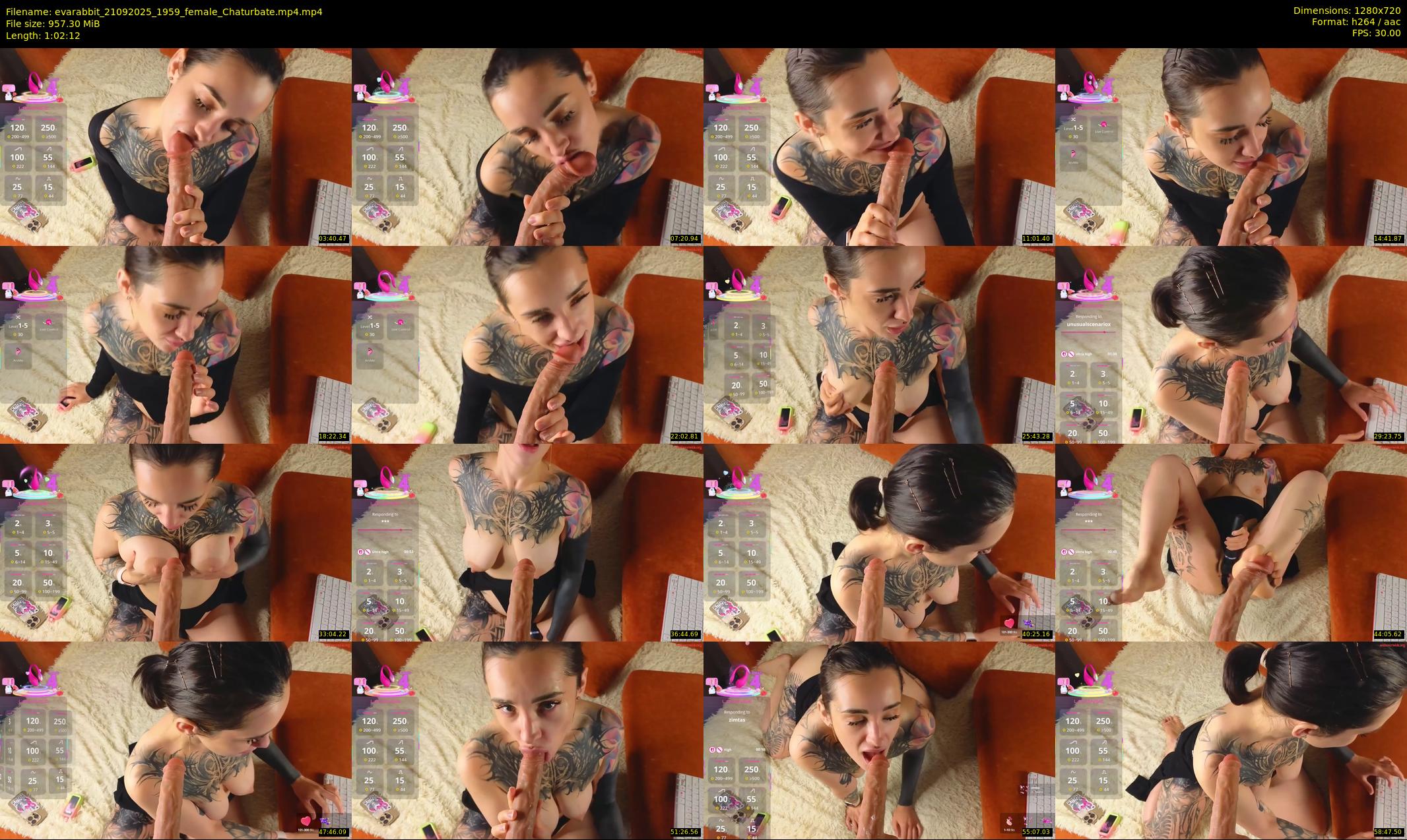 evarabbit — 63 minute Chaturbate female cam show recording, 720p, Sep 21, 2025