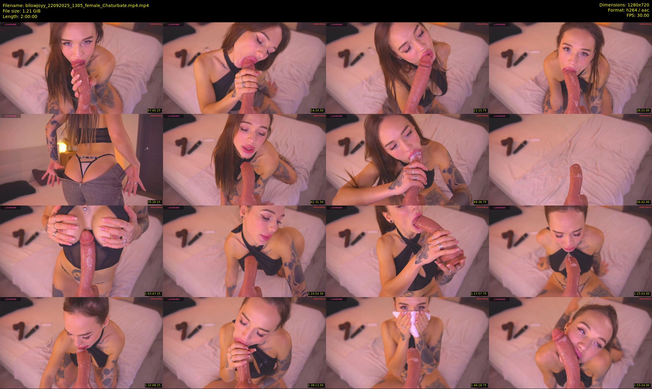 bllowjoyy — 120 minute Chaturbate female cam show recording, 720p, Sep 22, 2025
