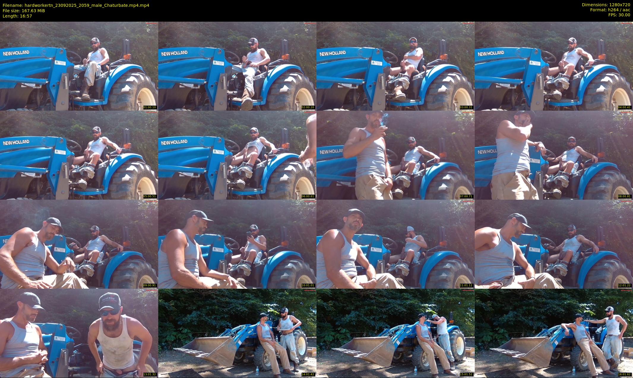hardworkertn — 17 minute Chaturbate male cam show recording, 720p, Sep 23, 2025