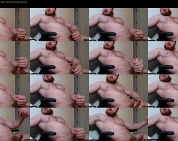 pec_inspector — 12 minute Chaturbate male cam show recording, 720p, Sep 26, 2025