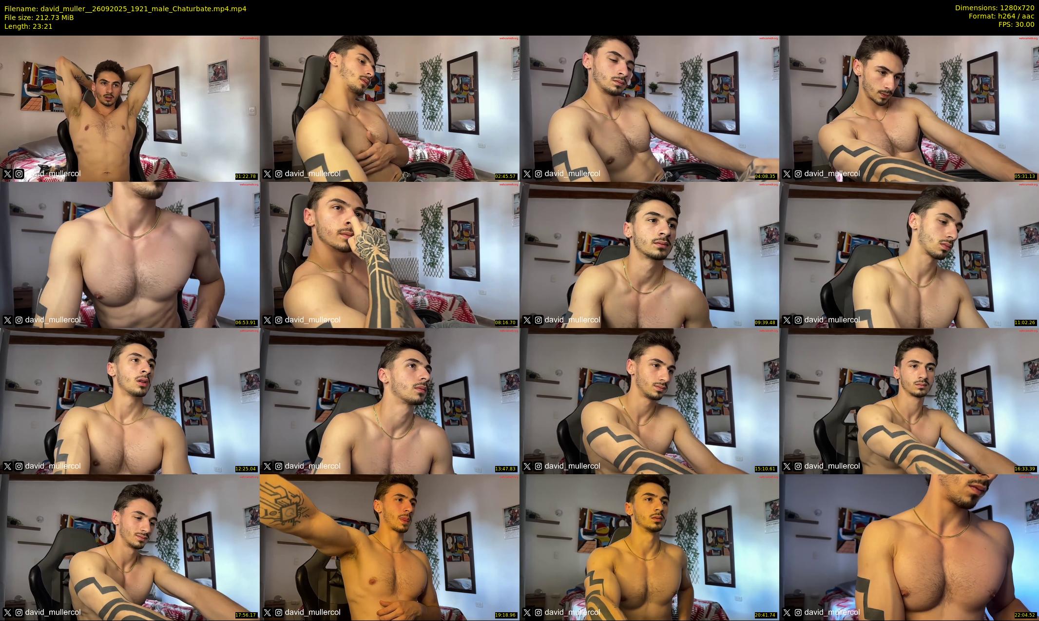 david_muller_ — 24 minute Chaturbate male cam show recording, 720p, Sep 26, 2025