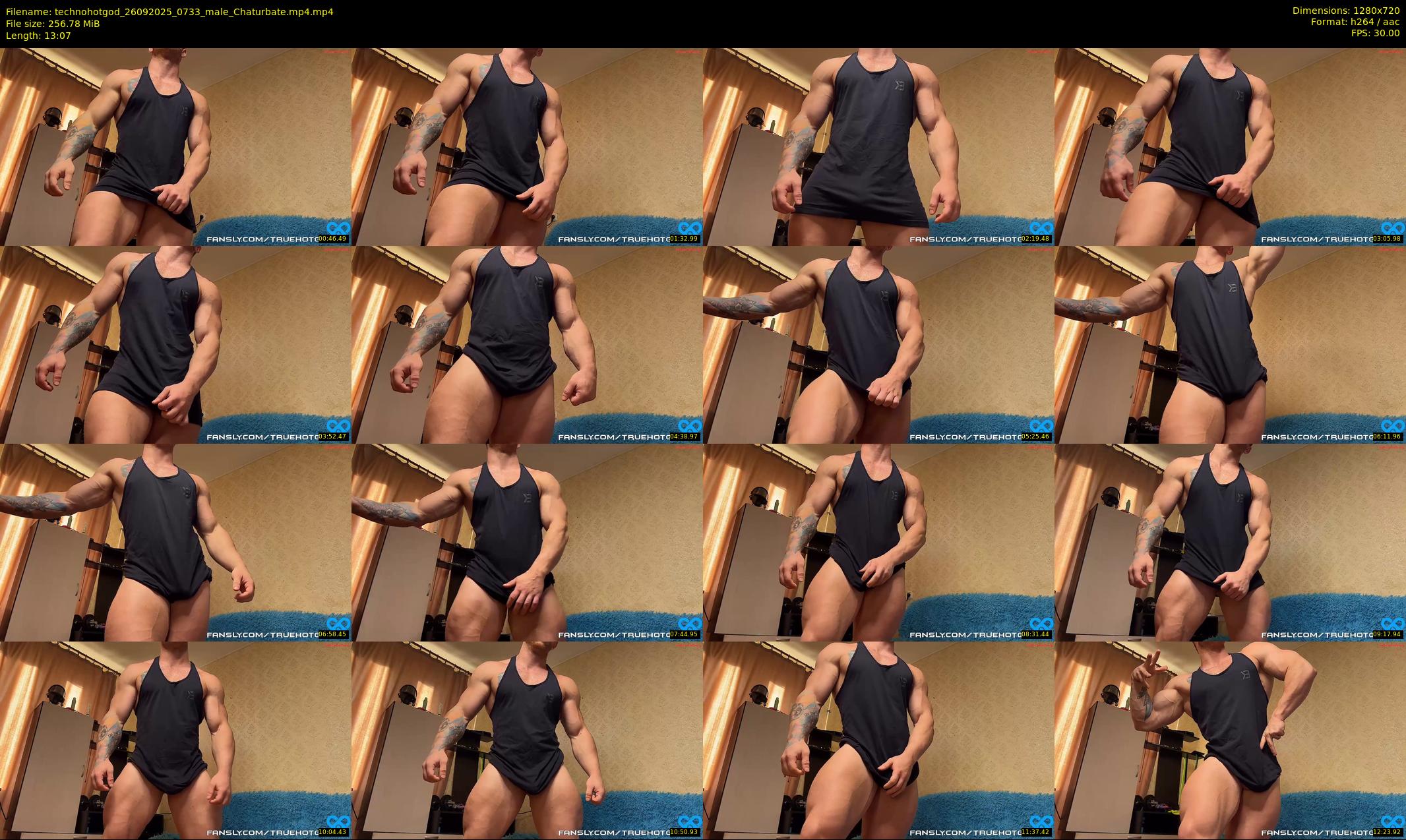 technohotgod — 14 minute Chaturbate male cam show recording, 720p, Sep 26, 2025