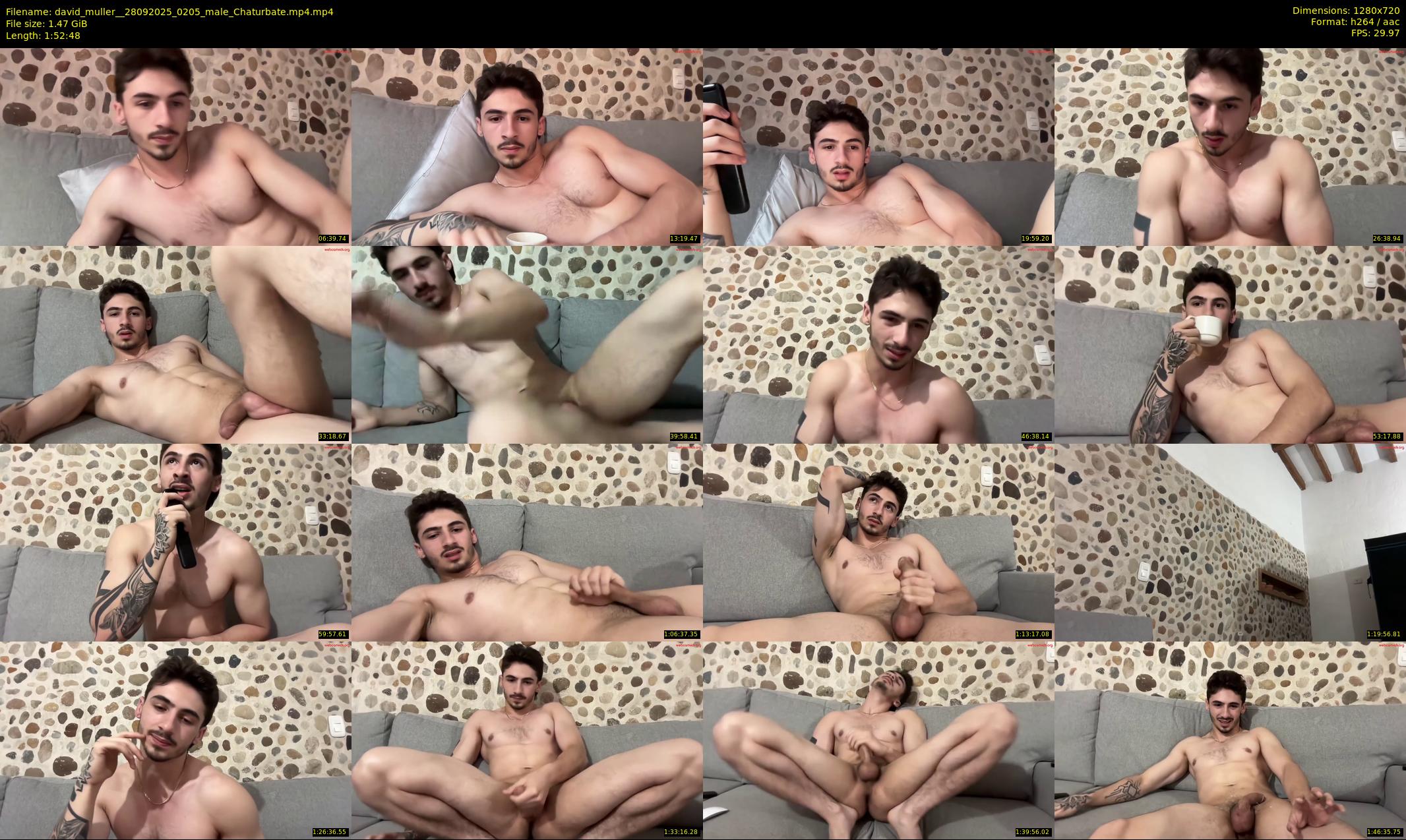 david_muller_ — 113 minute Chaturbate male cam show recording, 720p, Sep 28, 2025