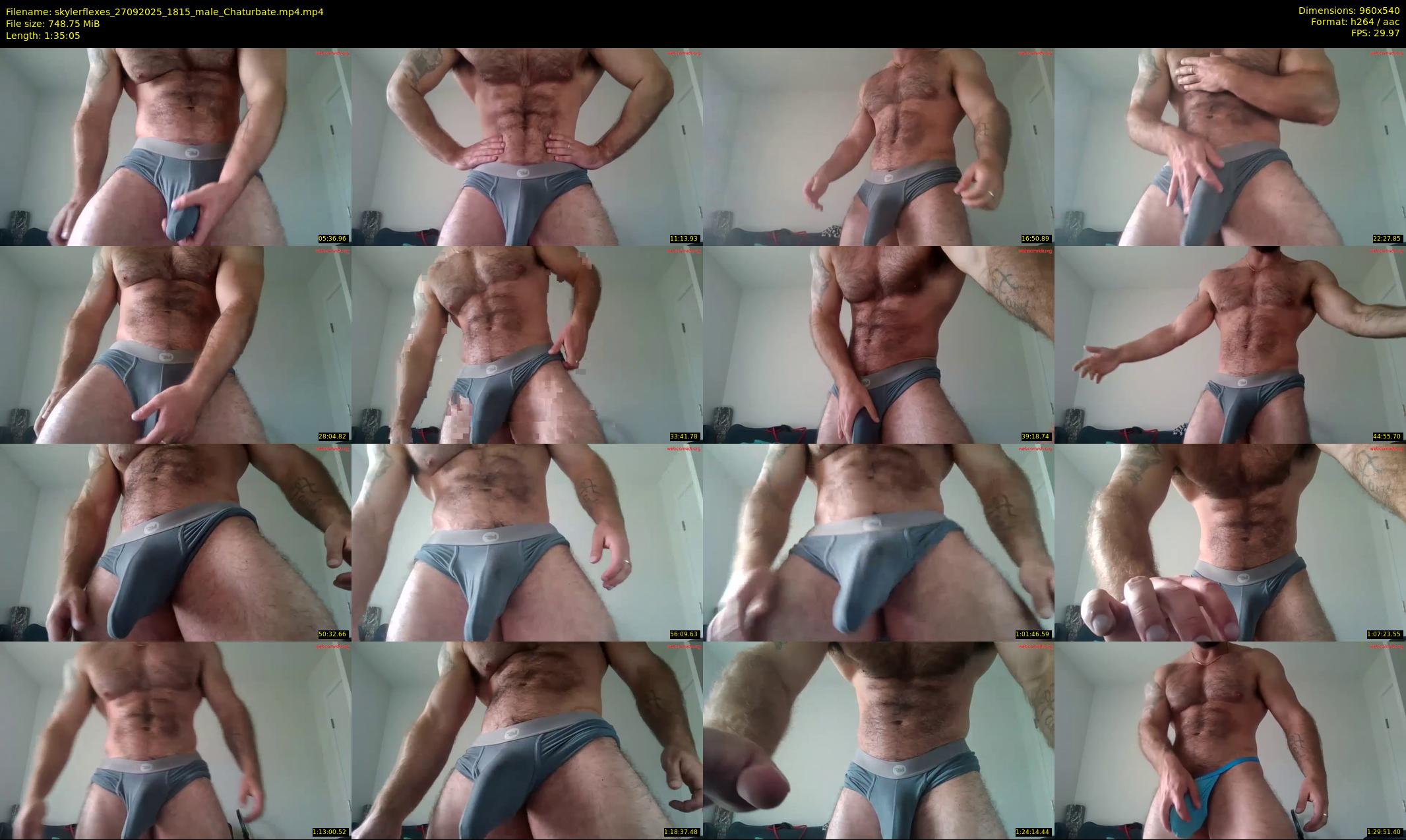 skylerflexes — 96 minute Chaturbate male cam show recording, 480p, Sep 27, 2025
