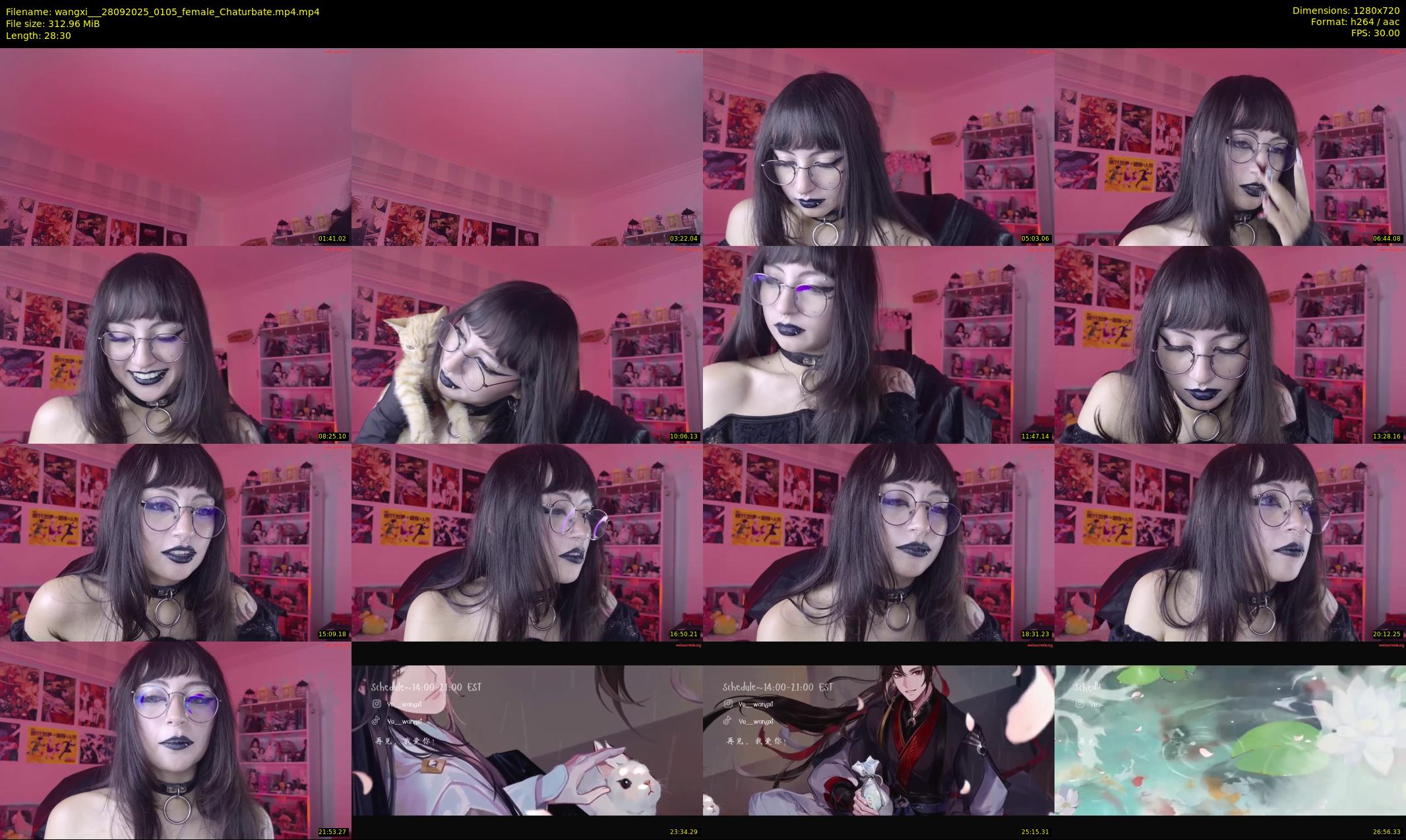 wangxi__ — 29 minute Chaturbate female cam show recording, 720p, Sep 28, 2025