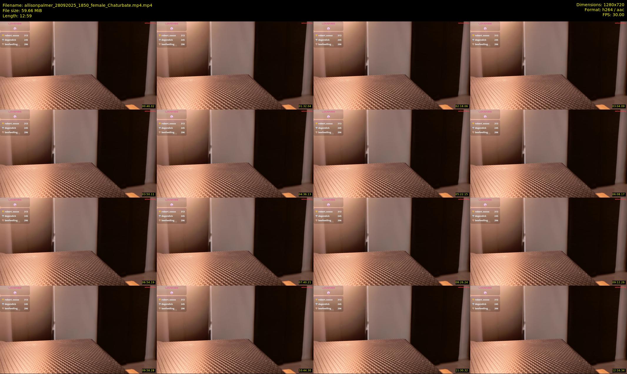 allisonpalmer — 13 minute Chaturbate female cam show recording, 720p, Sep 28, 2025