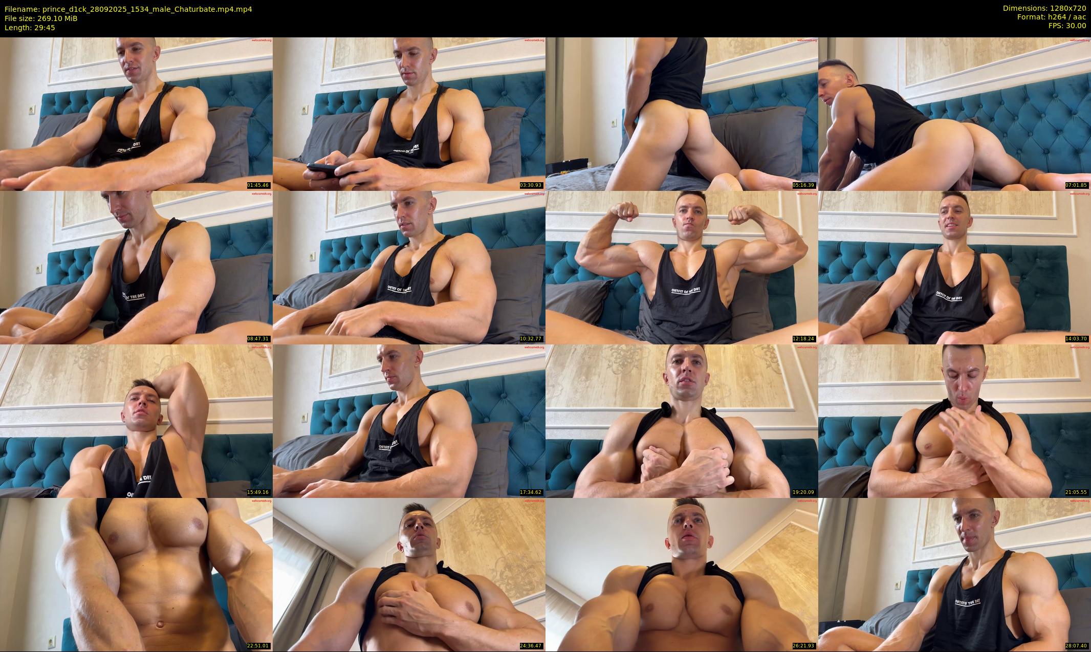 prince_d1ck — 30 minute Chaturbate male cam show recording, 720p, Sep 28, 2025