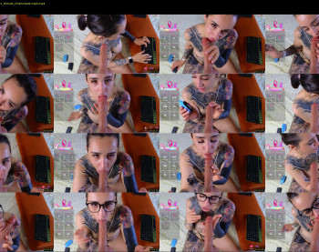 evarabbit — 19 minute Chaturbate female cam show recording, 720p, Sep 29, 2025