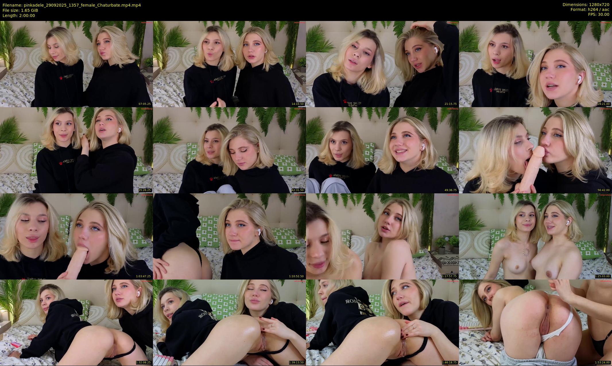 pinkadele — 120 minute Chaturbate female cam show recording, 720p, Sep 29, 2025