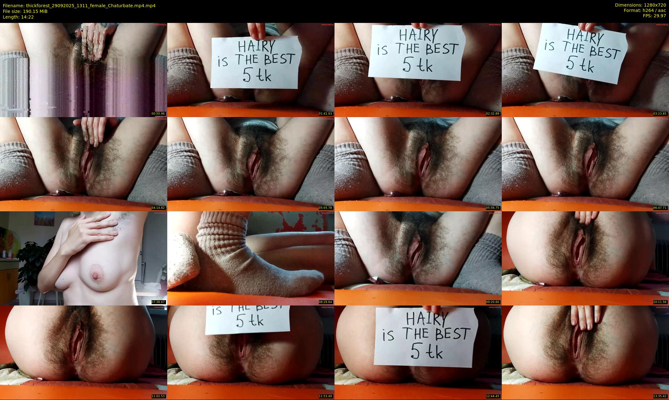 thickforest — 15 minute Chaturbate female cam show recording, 720p, Sep 29, 2025