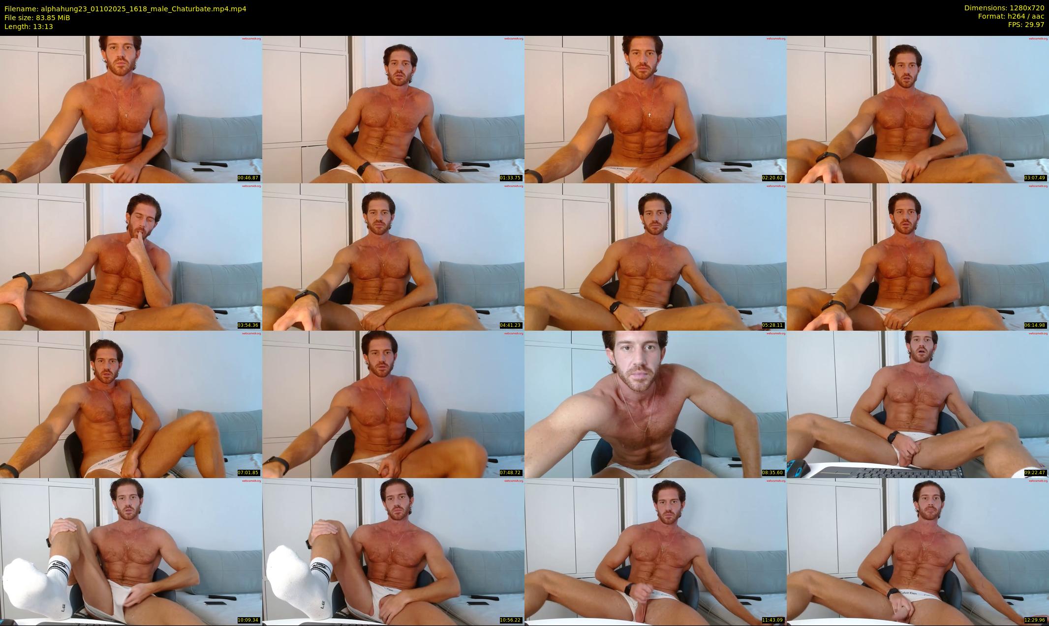alphahung23 — 14 minute Chaturbate male cam show recording, 720p, Oct 1, 2025