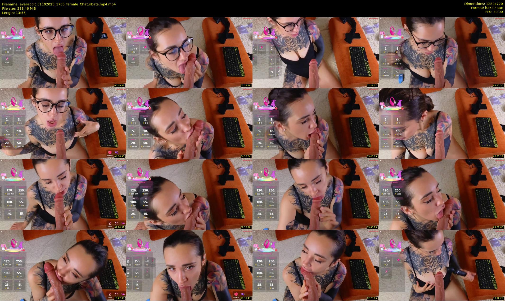 evarabbit — 14 minute Chaturbate female cam show recording, 720p, Oct 1, 2025