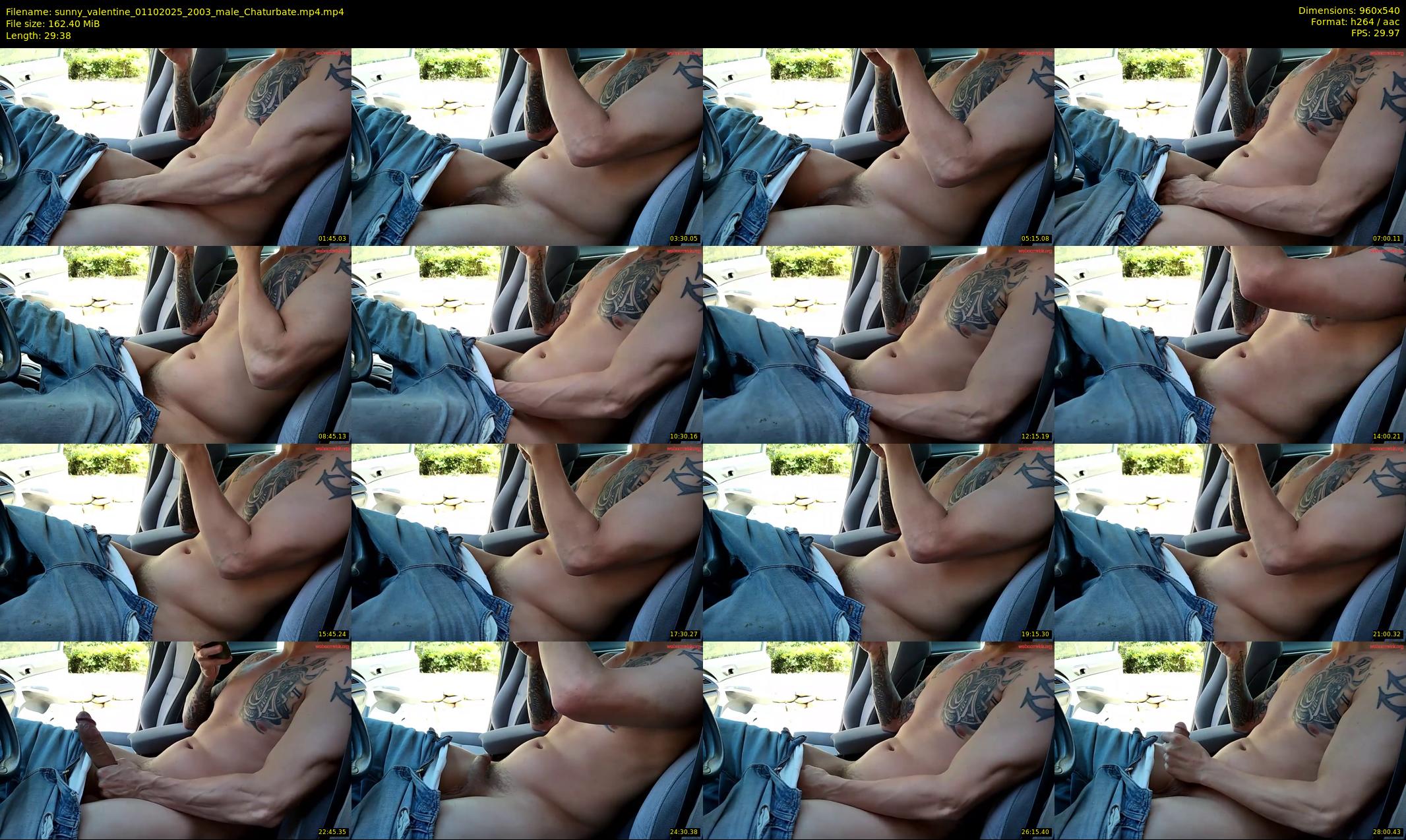 sunny_valentine — 30 minute Chaturbate male cam show recording, 480p, Oct 1, 2025