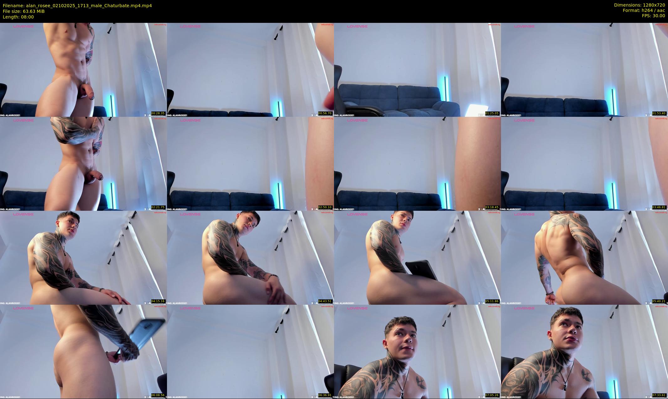 alan_rosee — 8 minute Chaturbate male cam show recording, 720p, Oct 2, 2025