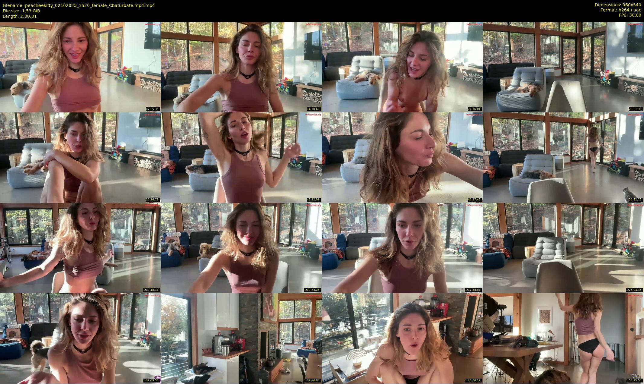 peacheekitty — 121 minute Chaturbate female cam show recording, 480p, Oct 2, 2025