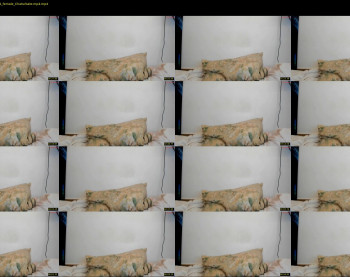 zzarraaa — 8 minute Chaturbate female cam show recording, 720p, Oct 3, 2025