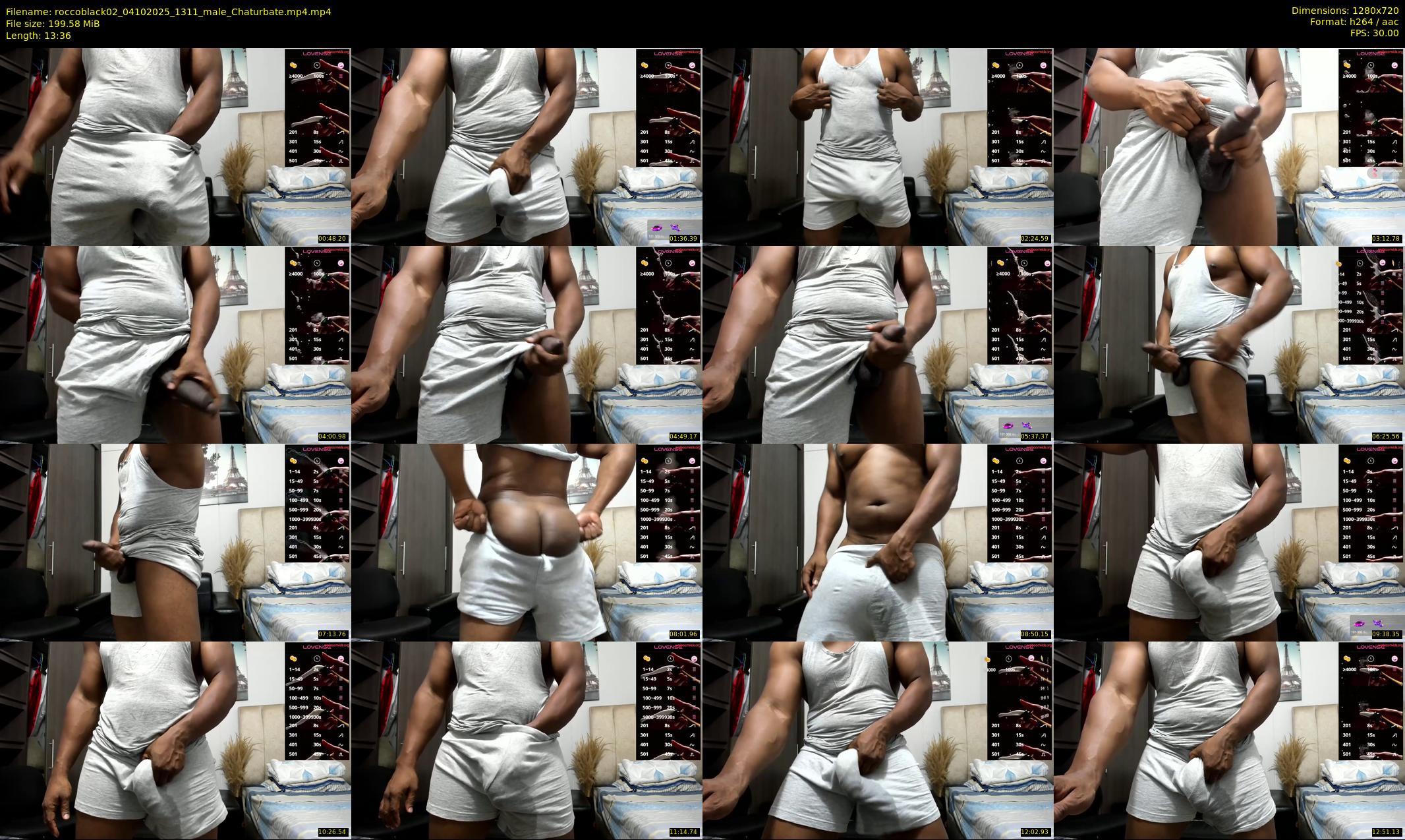roccoblack02 — 14 minute Chaturbate male cam show recording, 720p, Oct 4, 2025