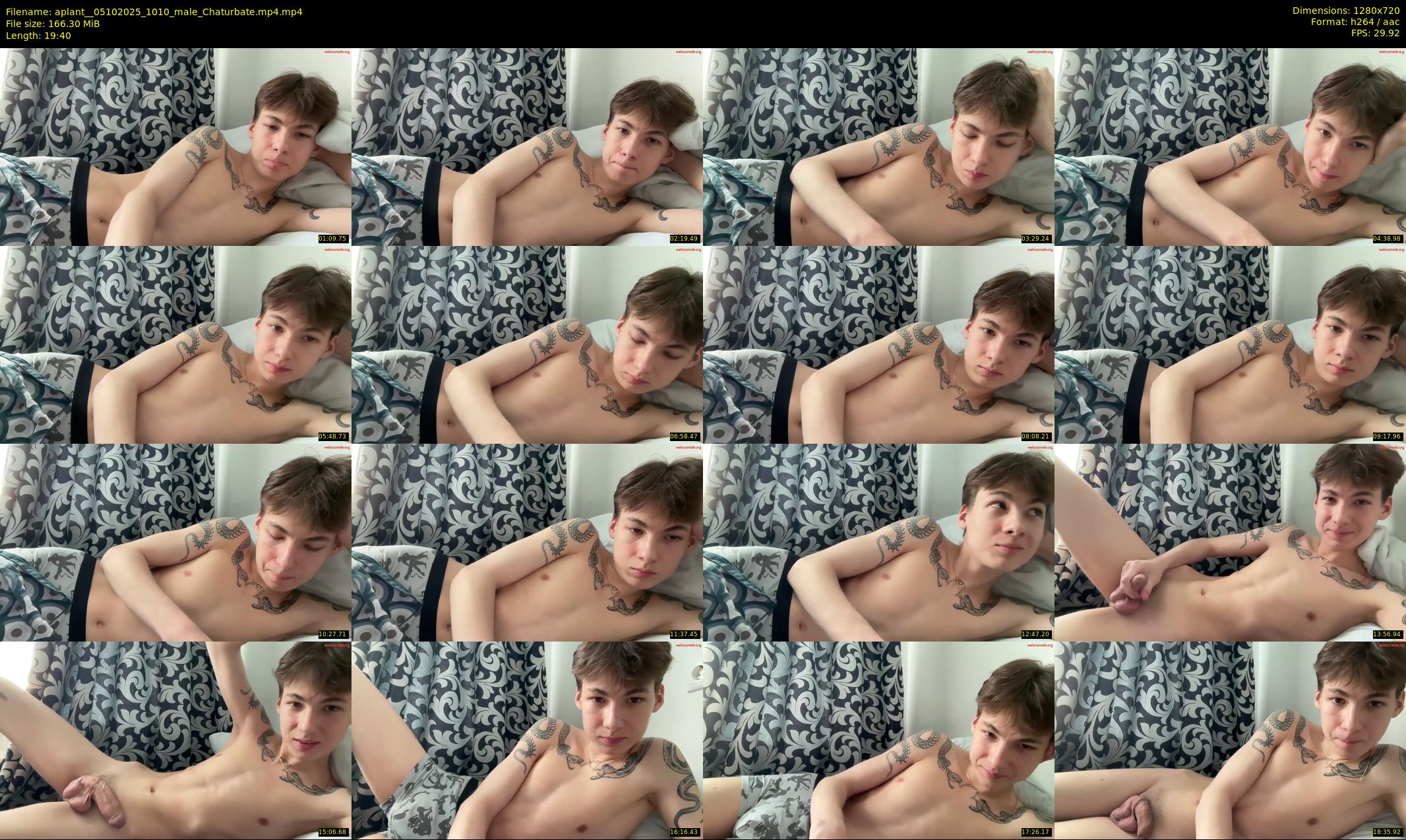 aplant_ — 20 minute Chaturbate male cam show recording, 720p, Oct 5, 2025