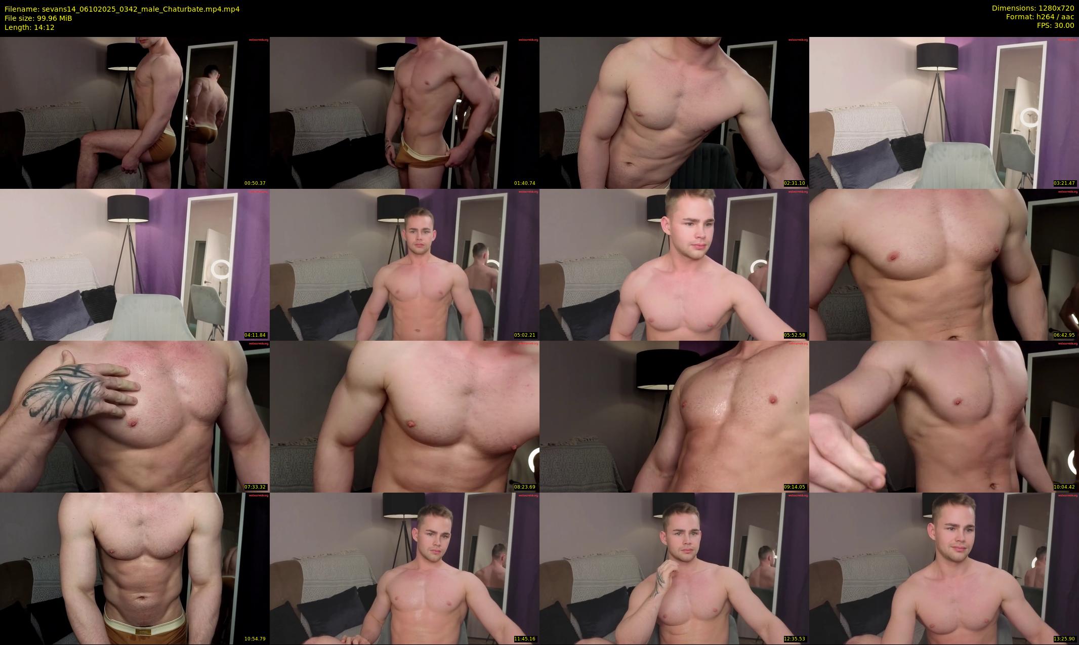 sevans14 — 15 minute Chaturbate male cam show recording, 720p, Oct 6, 2025