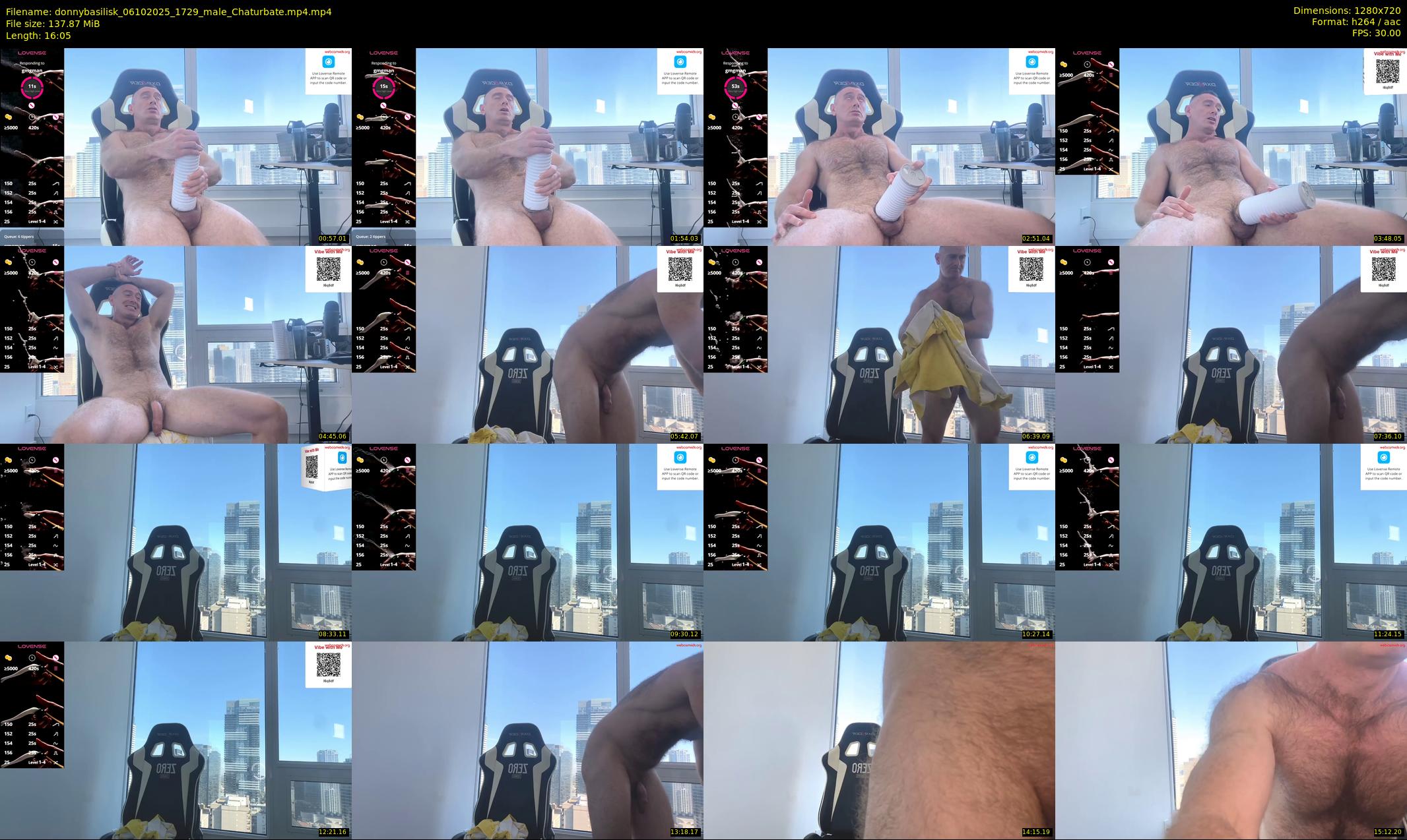 donnybasilisk — 17 minute Chaturbate male cam show recording, 720p, Oct 6, 2025