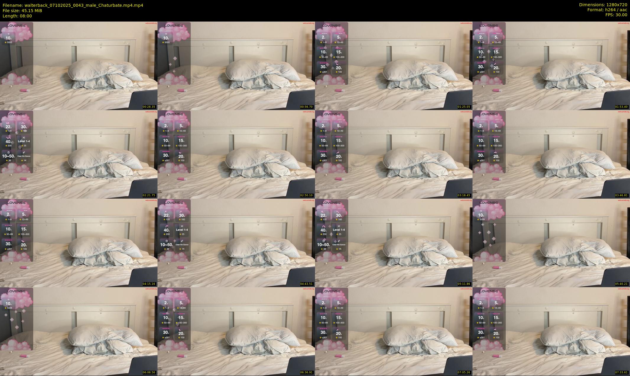 walterback — 8 minute Chaturbate male cam show recording, 720p, Oct 7, 2025