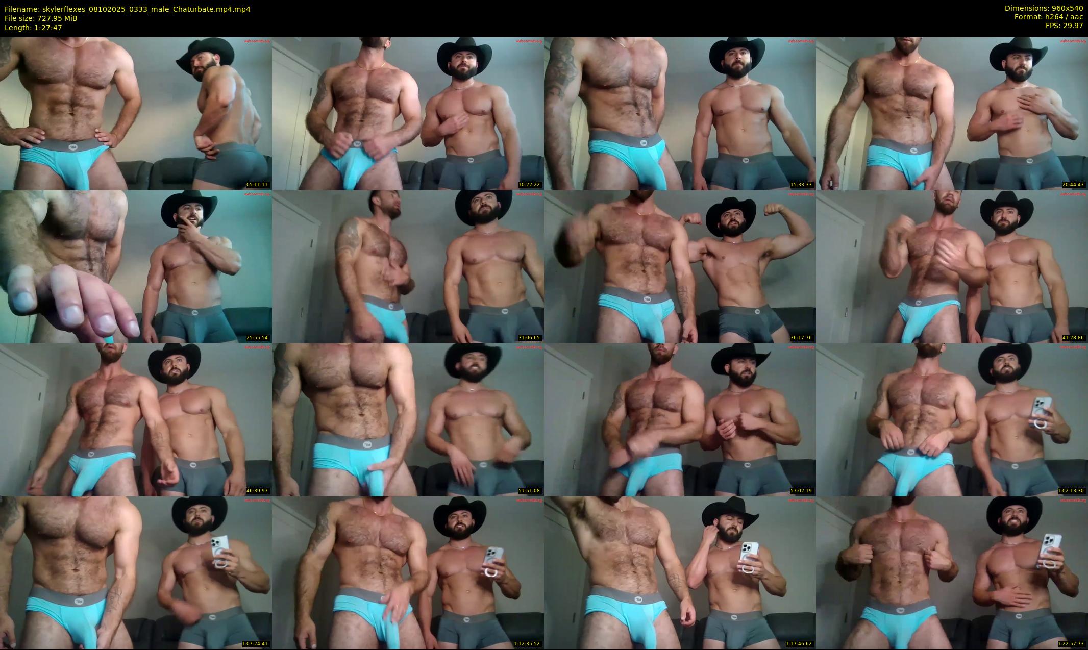 skylerflexes — 88 minute Chaturbate male cam show recording, 480p, Oct 8, 2025