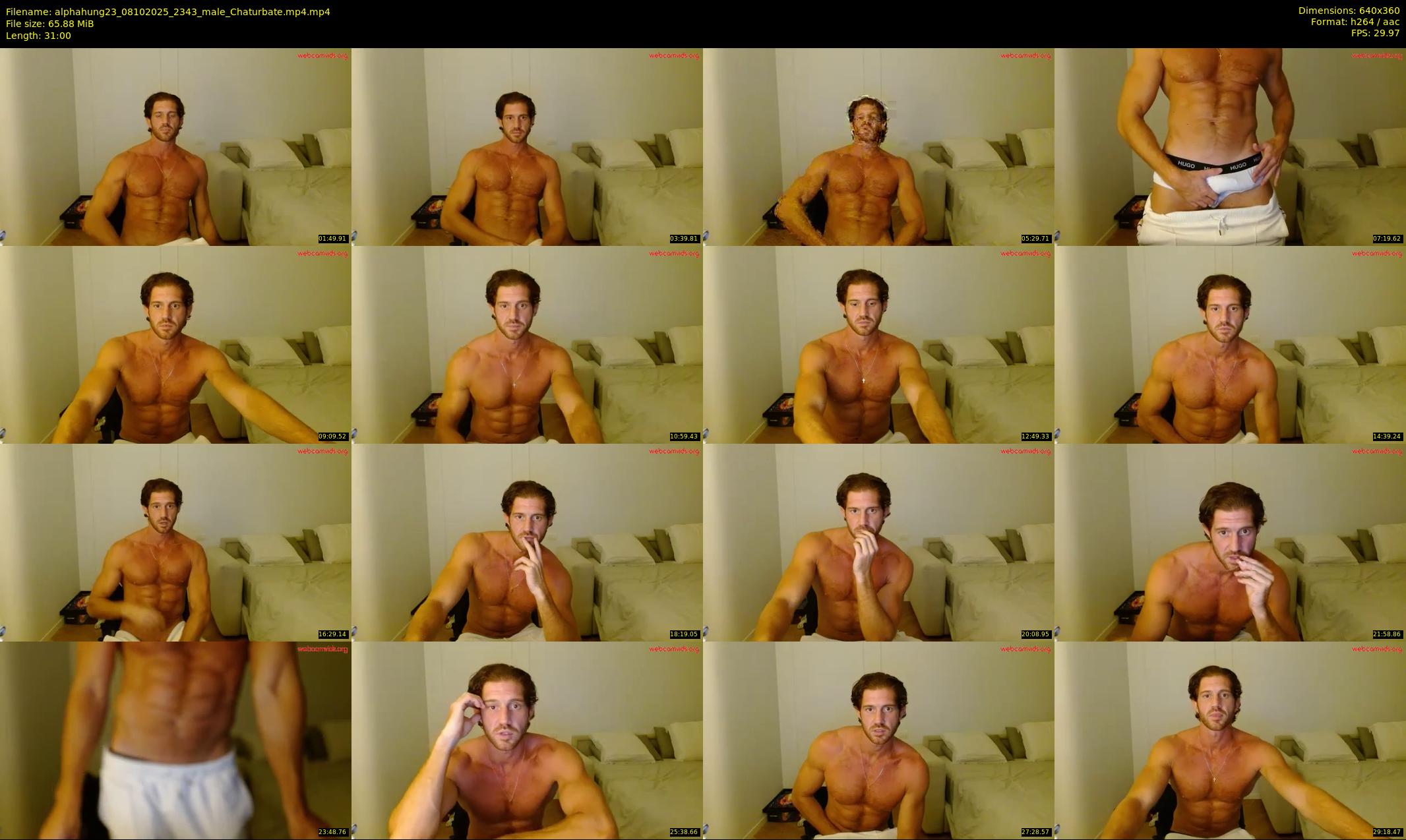 alphahung23 — 31 minute Chaturbate male cam show recording, 360p, Oct 8, 2025