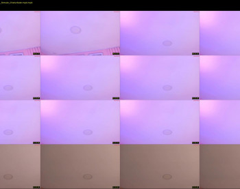 little_vel — 4 minute Chaturbate female cam show recording, 720p, Oct 10, 2025