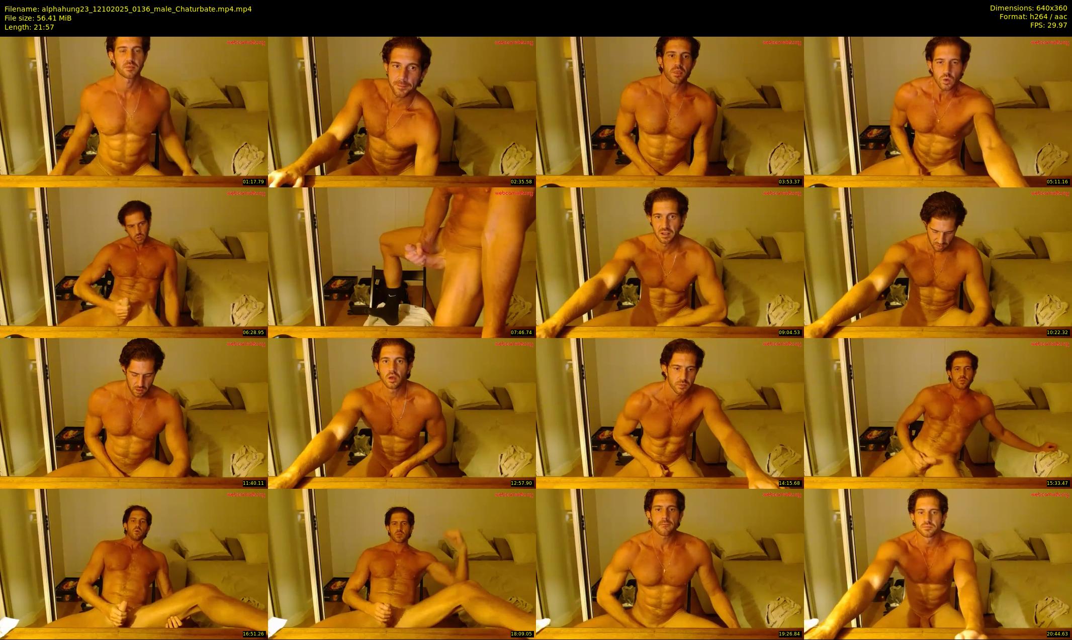 alphahung23 — 22 minute Chaturbate male cam show recording, 360p, Oct 12, 2025