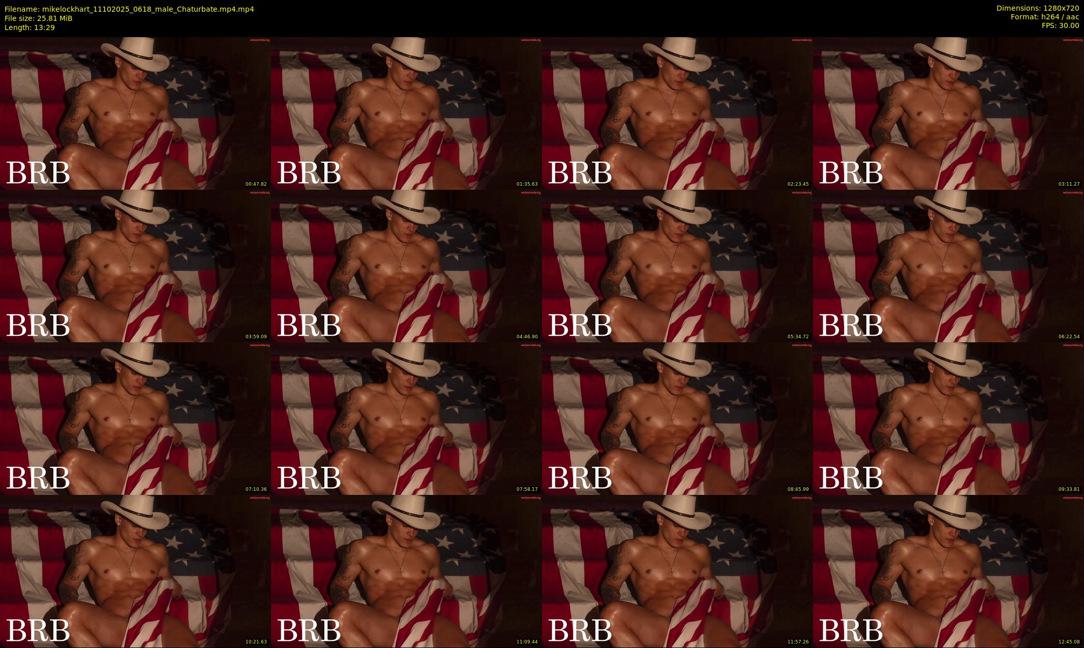 mikelockhart — 14 minute Chaturbate male cam show recording, 720p, Oct 11, 2025