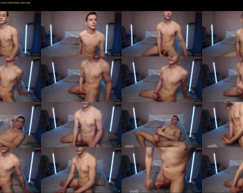 horgald — 46 minute Chaturbate couple cam show recording, 720p, Oct 12, 2025