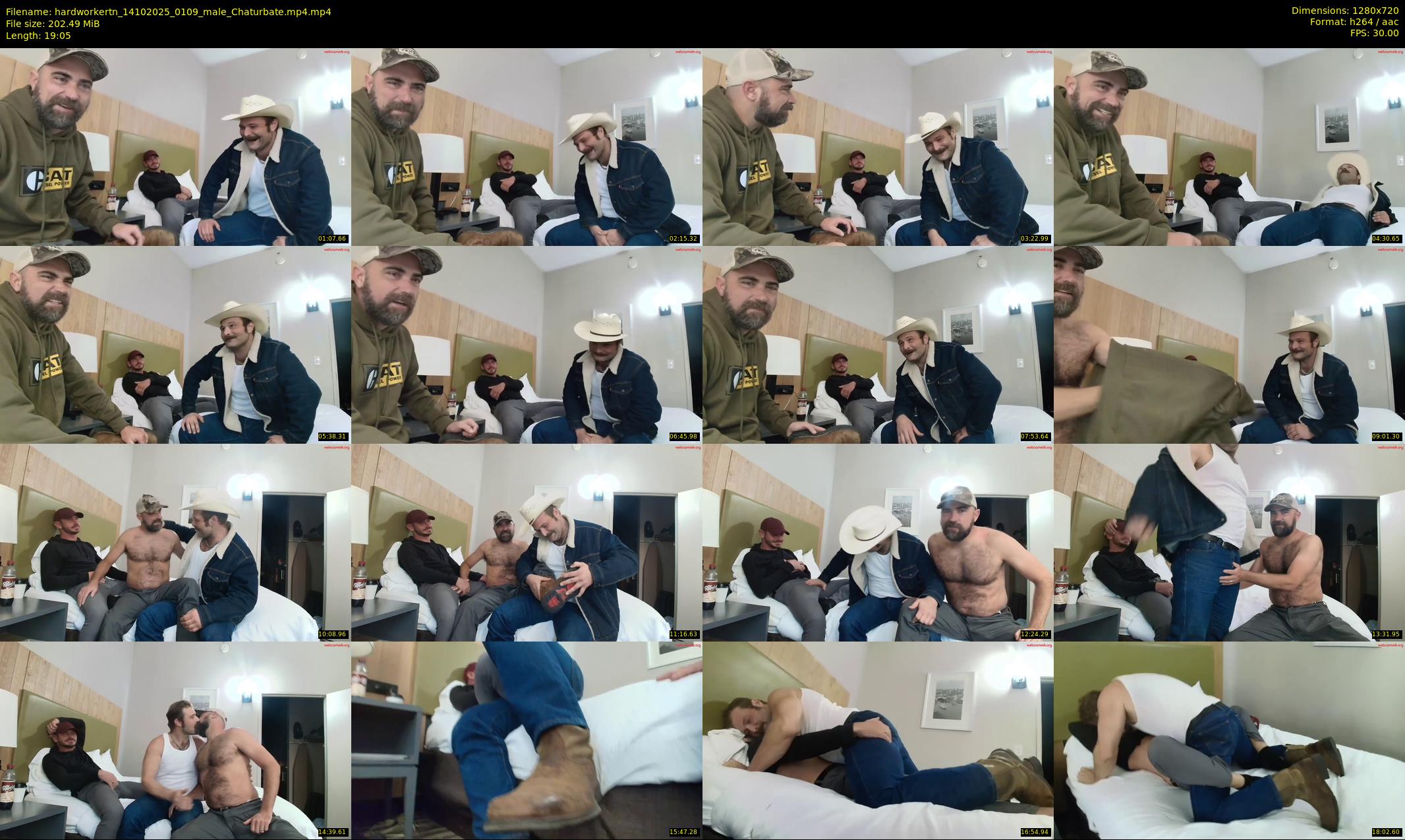 hardworkertn — 20 minute Chaturbate male cam show recording, 720p, Oct 14, 2025