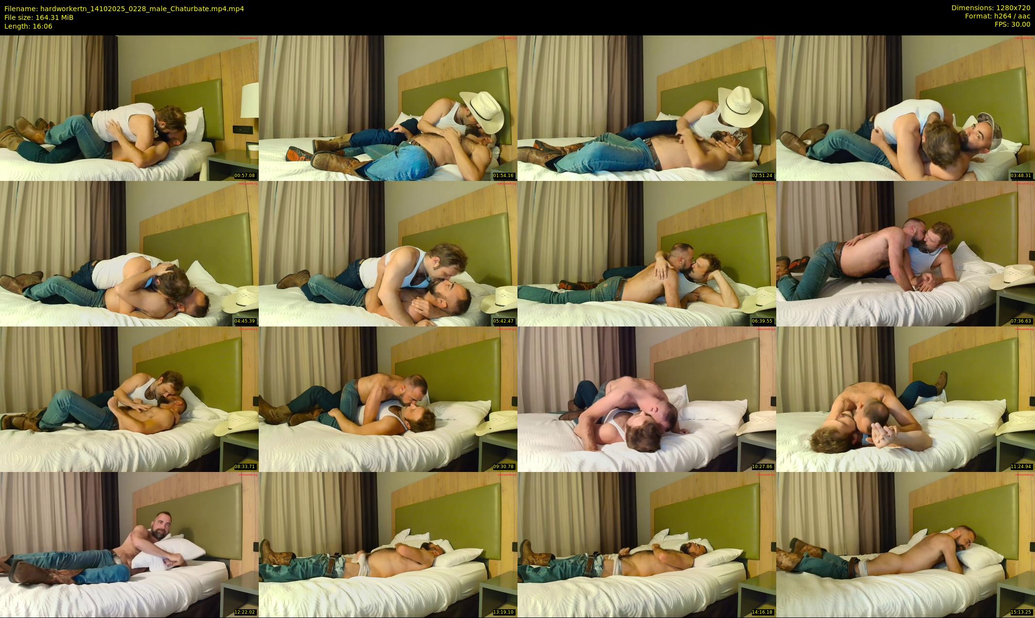hardworkertn — 17 minute Chaturbate male cam show recording, 720p, Oct 14, 2025