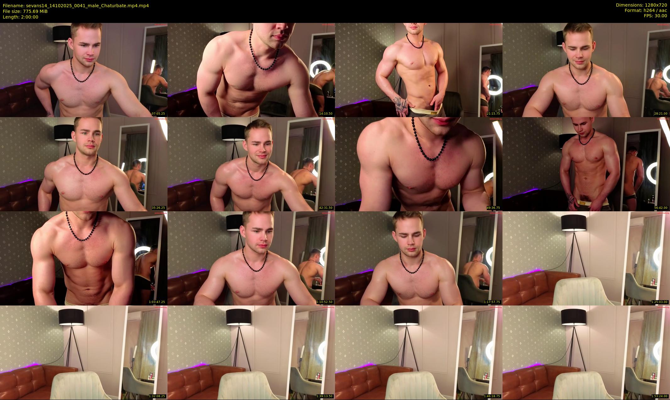 sevans14 — 120 minute Chaturbate male cam show recording, 720p, Oct 14, 2025