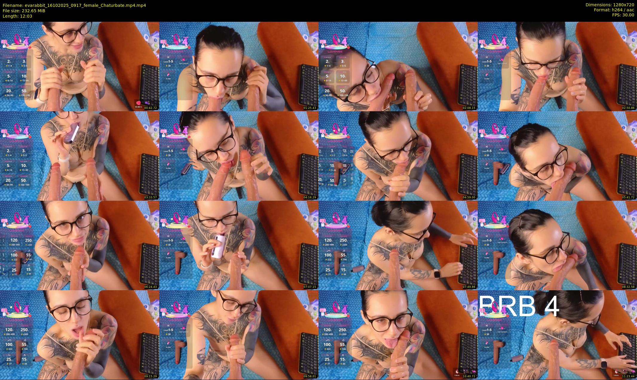 evarabbit — 13 minute Chaturbate female cam show recording, 720p, Oct 16, 2025