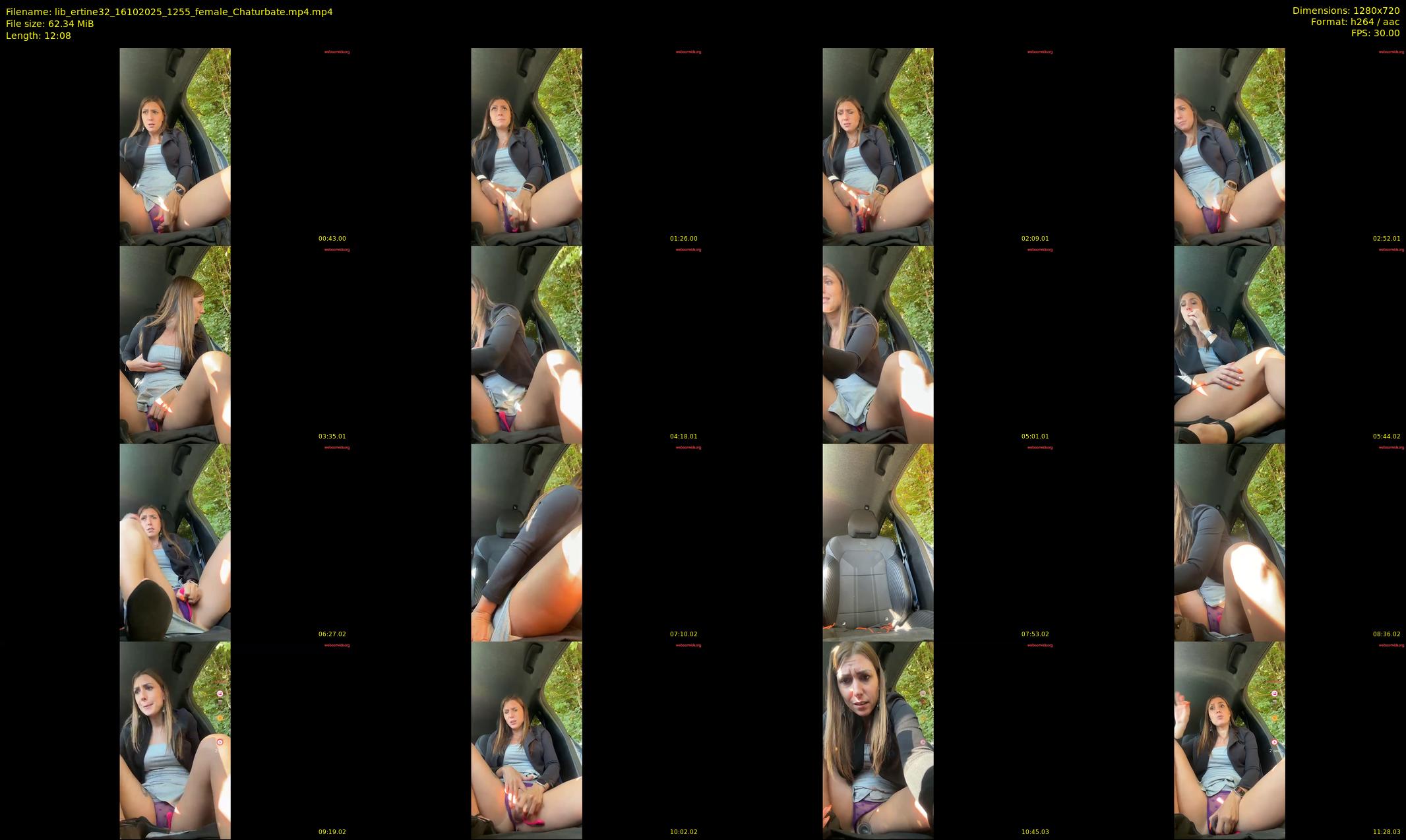 lib_ertine32 — 13 minute Chaturbate female cam show recording, 720p, Oct 16, 2025